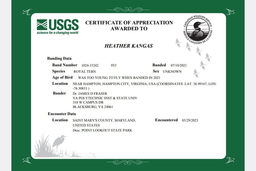 Heather Kangas LCSW-C (she,her) tweet media