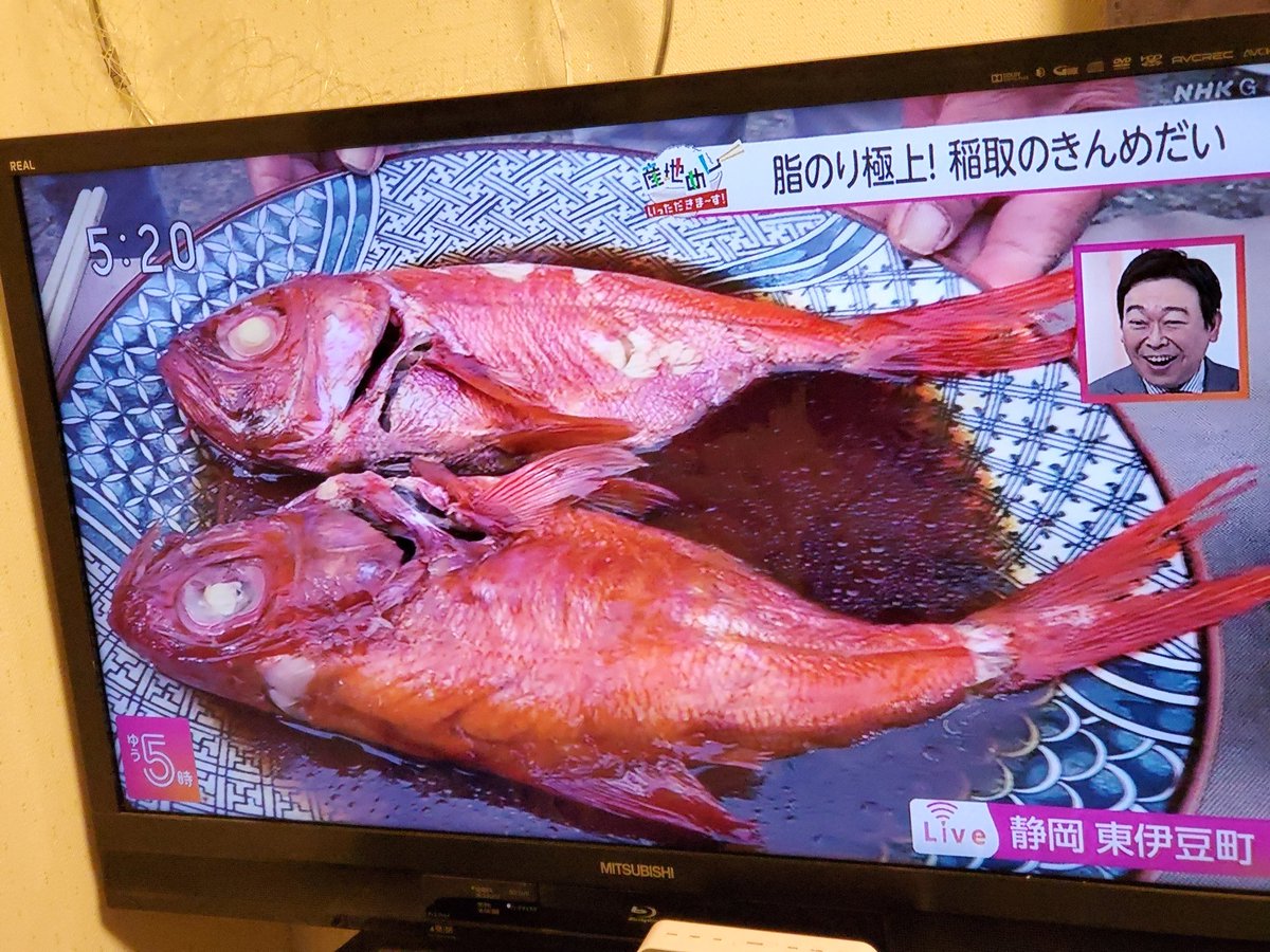 TBTI_Japan's tweet photo. NHK ライブ放送❗️🎉 Our community partner is on #NHK TV❗️✨️
#Inatori #fishingcommunity
#Kinme #splendidalfonsino
#TBTI #V2V #CommunityCatch
#稲取キンメ #稲取 #東伊豆町 #キンメダイ #キンメ漁業 #コミュニティキャッチ https://t.co/hdNdx6nNXY