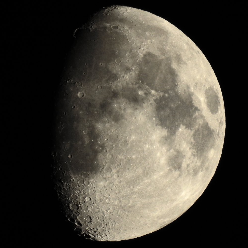 Last Night's Moon Shot w/ Nikon P900 🌔📷 #moon #lunar  #Astrophotography #nikonphotography #nikonp900 #Space