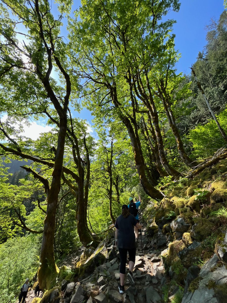 amaraflare's tweet photo. went to seattle over the weekend and was lucky enough to experience this ~amazing~ hike with my besties🌲🏔️ the serenity was unmatched https://t.co/ZRzcp3w2JA