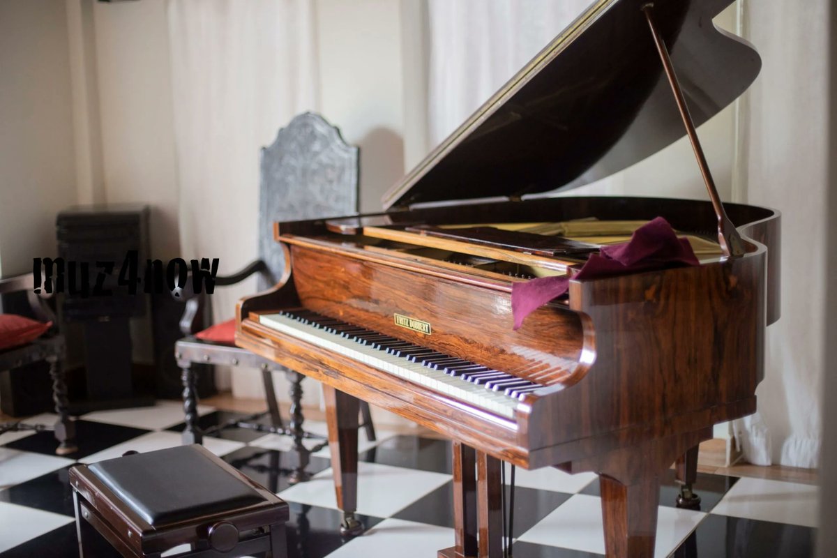 muz4now's tweet image. Piano Sample Libraries You Love to Hear 
#piano #SampleLibraries #SampleLibrary #VirtualInstrument #sounds #MusicMaking

muz4now.com/2023/piano-sam…