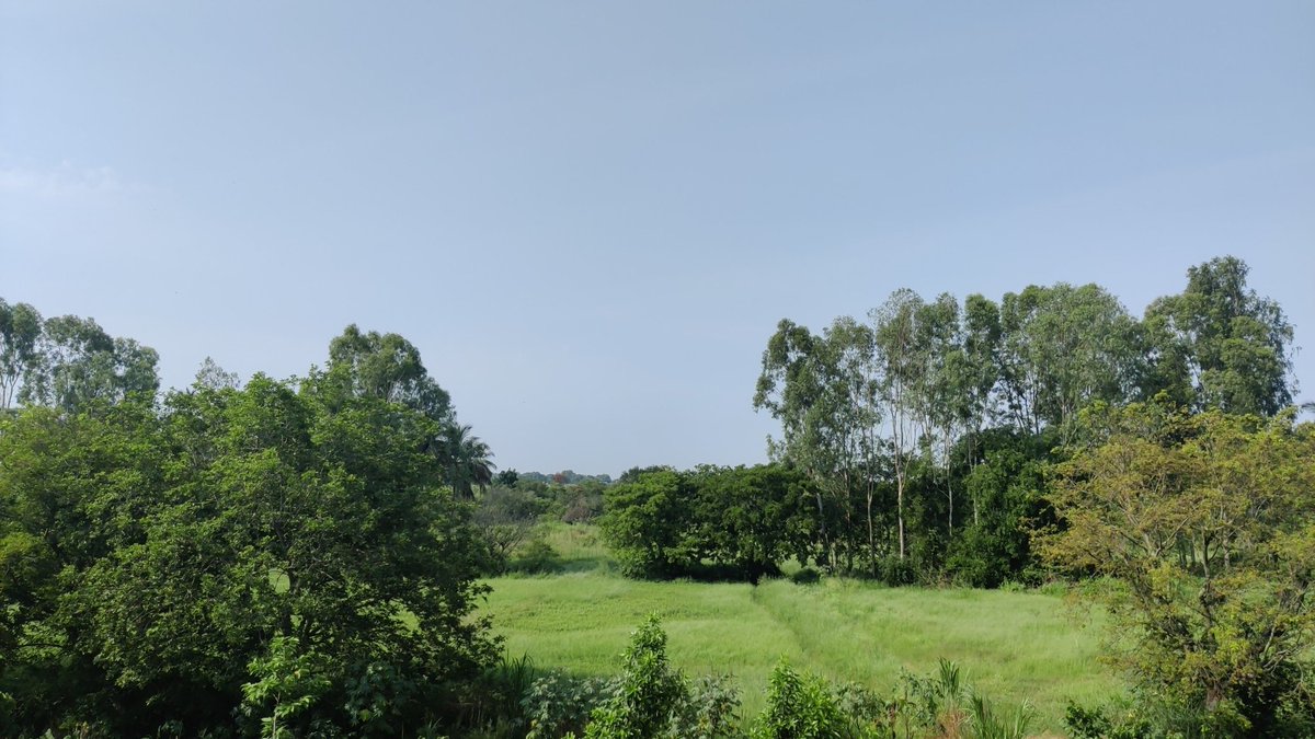 HelaMylavarapu's tweet image. View from strate. 
#Designuniversity