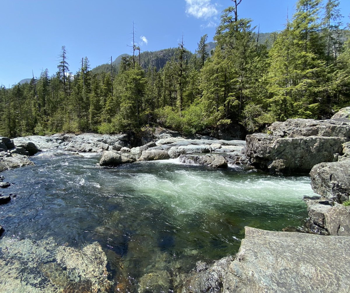 Dr. Christian Commander tweet media