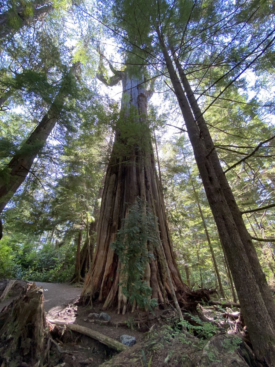 Dr. Christian Commander tweet media