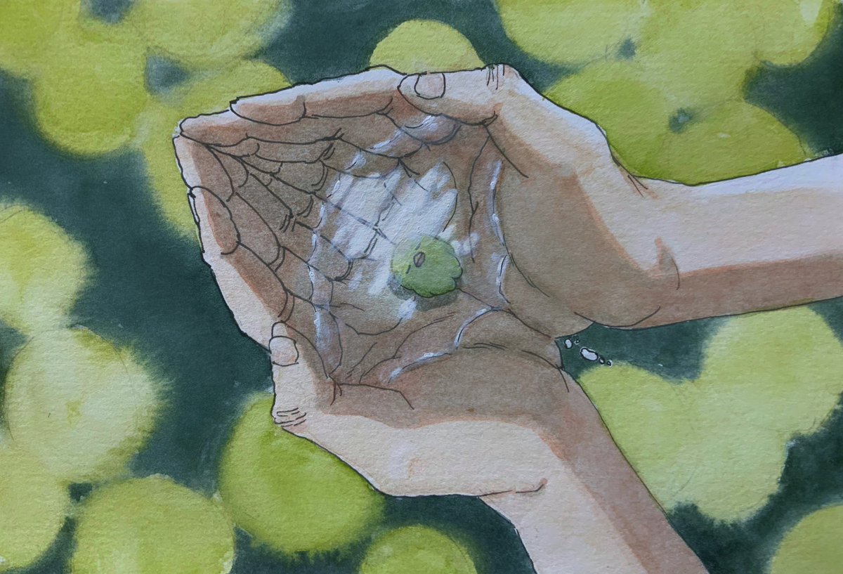 さっちんページ 2023年5月の絵