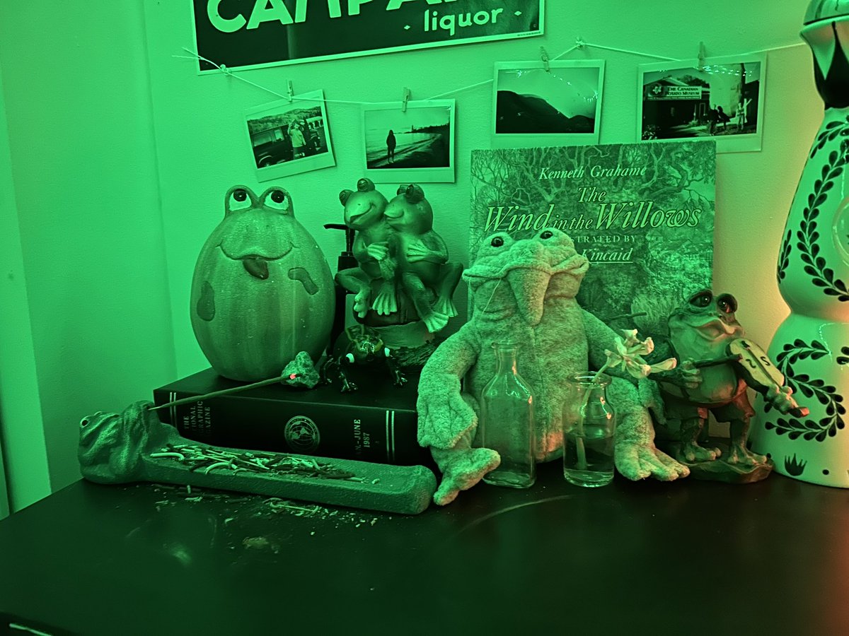 eatpaintndie's tweet photo. my bfs frog shrine so far https://t.co/pNnerTTtiE
