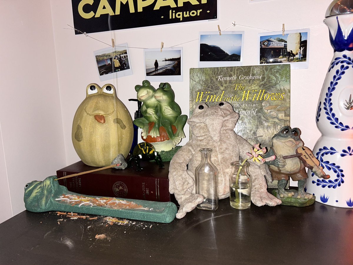 my bfs frog shrine so far