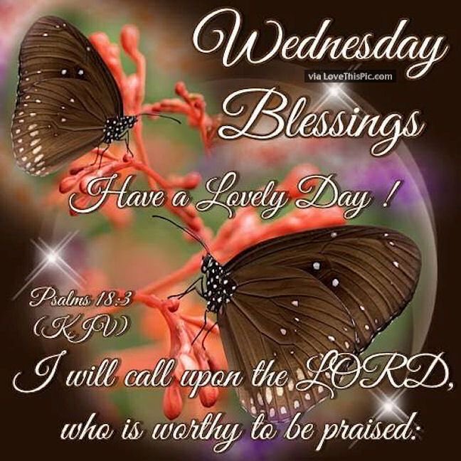 #WednesdayBlessings #TwitterFriends #2 💛Have An Amazing Wednesday!