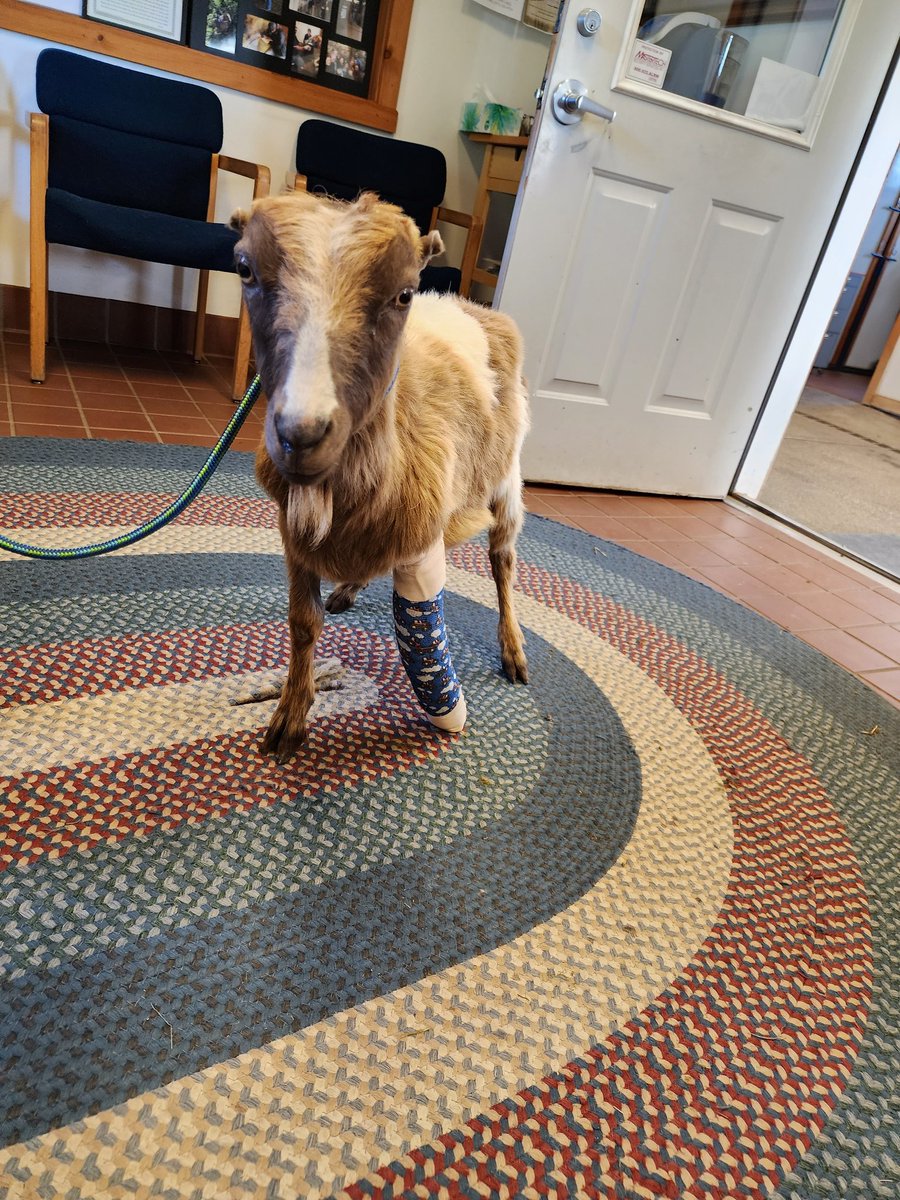 Kimberlee Ables tweet media