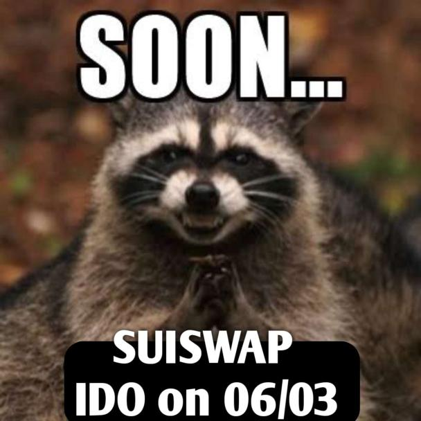 AuguswebstAugus's tweet photo. "@suiswap_app" and “#SUI” https://t.co/FAekxdwRQf