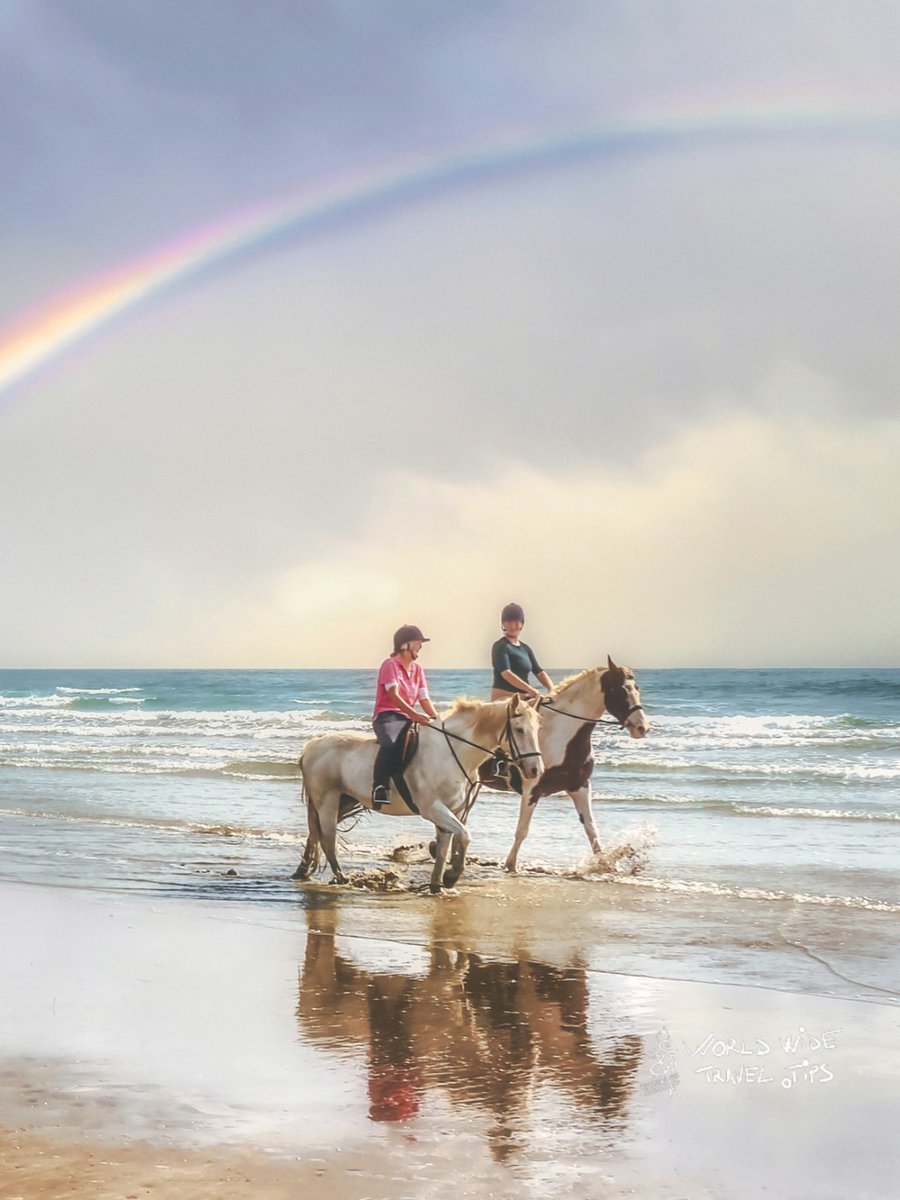 For sure, this is one of the most popular horses riding South Padre Island experiences you can try, and tourists generally rush to book their seats.

Read more 👉 lttr.ai/ACUNQ

#MagnificentIsland #Worldwidetraveltips #Traveltips #Travel