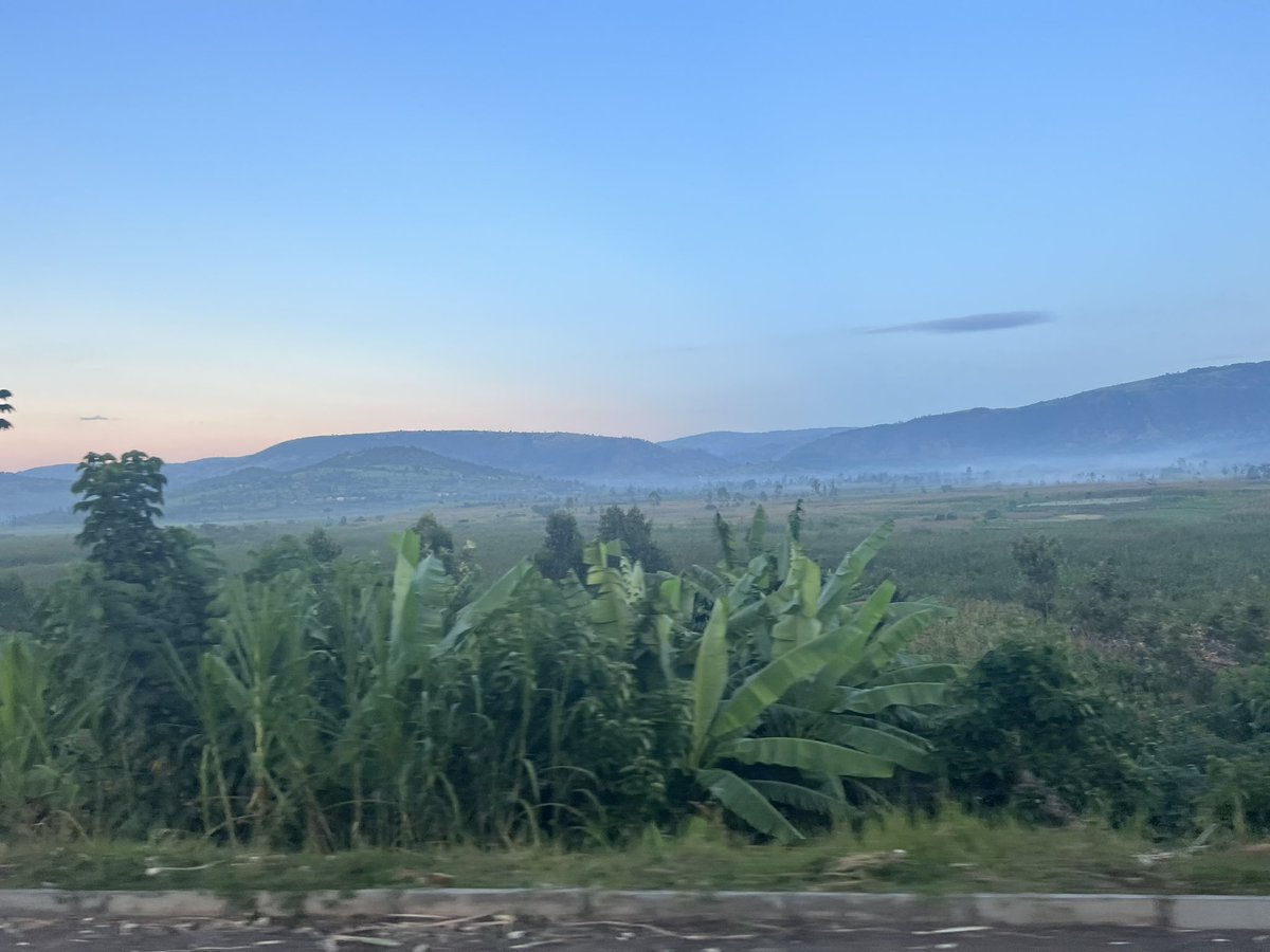 Nkurunziza Joseph Ryarasa tweet media