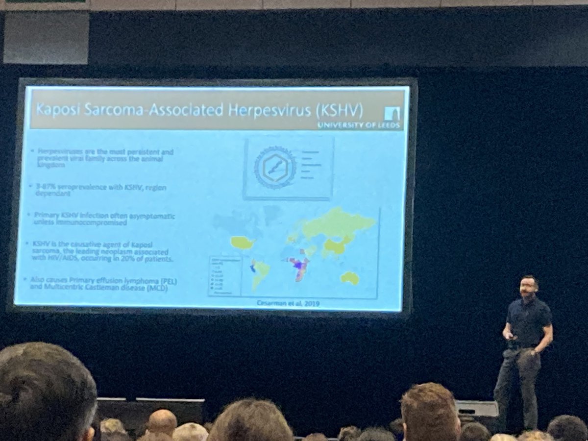 Whitehouse Lab tweet media