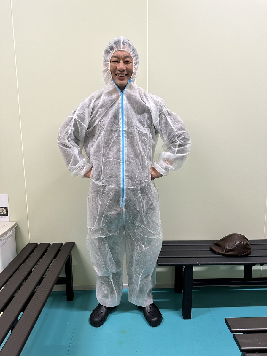 Post by カーメン君@園芸超人 on X: 新キャラ誕生🐣