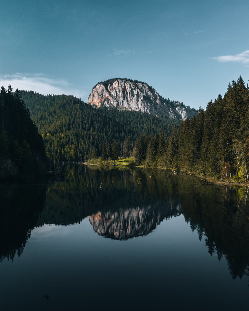 gonewithshaun tweet media