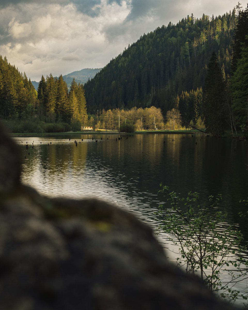 gonewithshaun tweet media