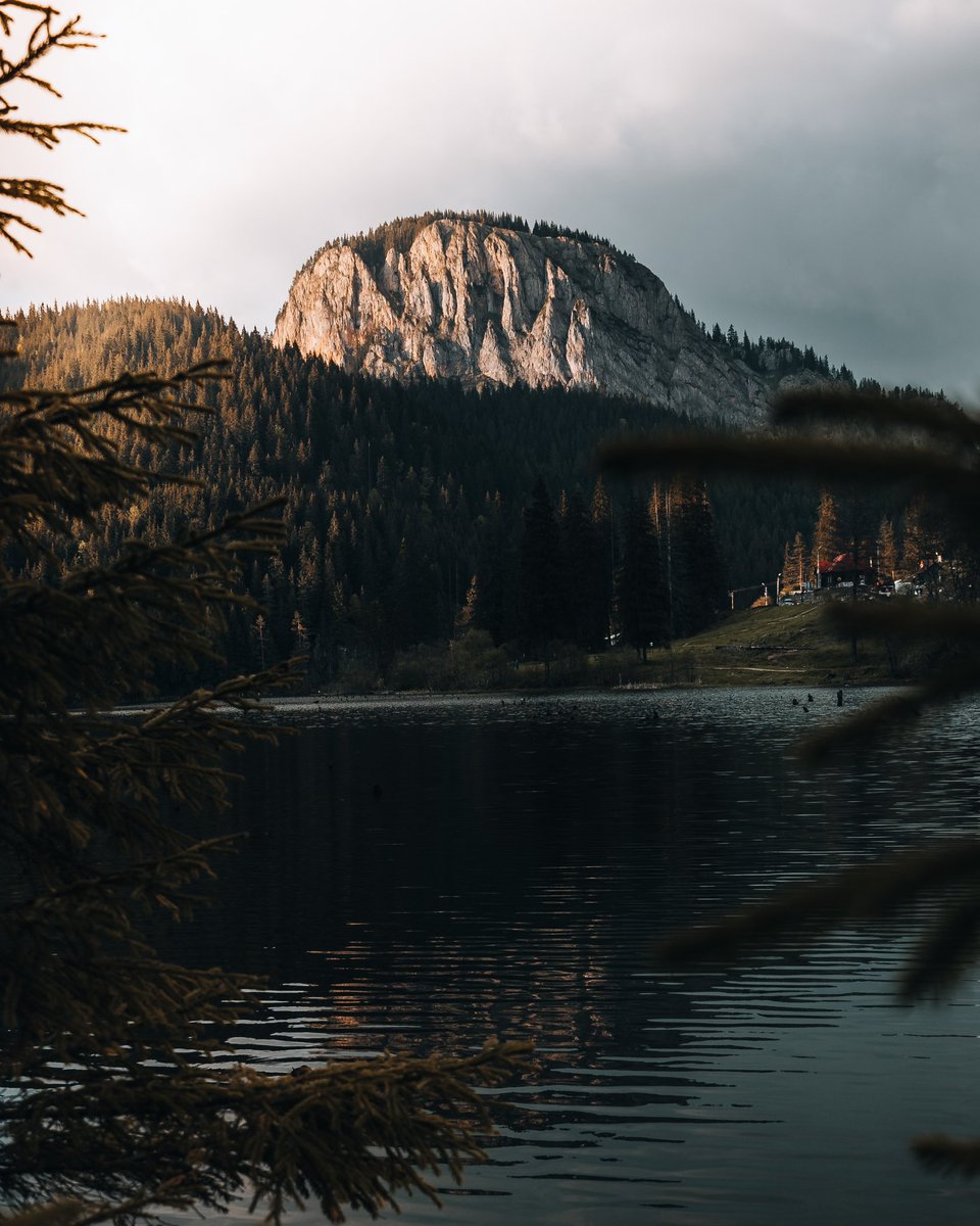 gonewithshaun tweet media