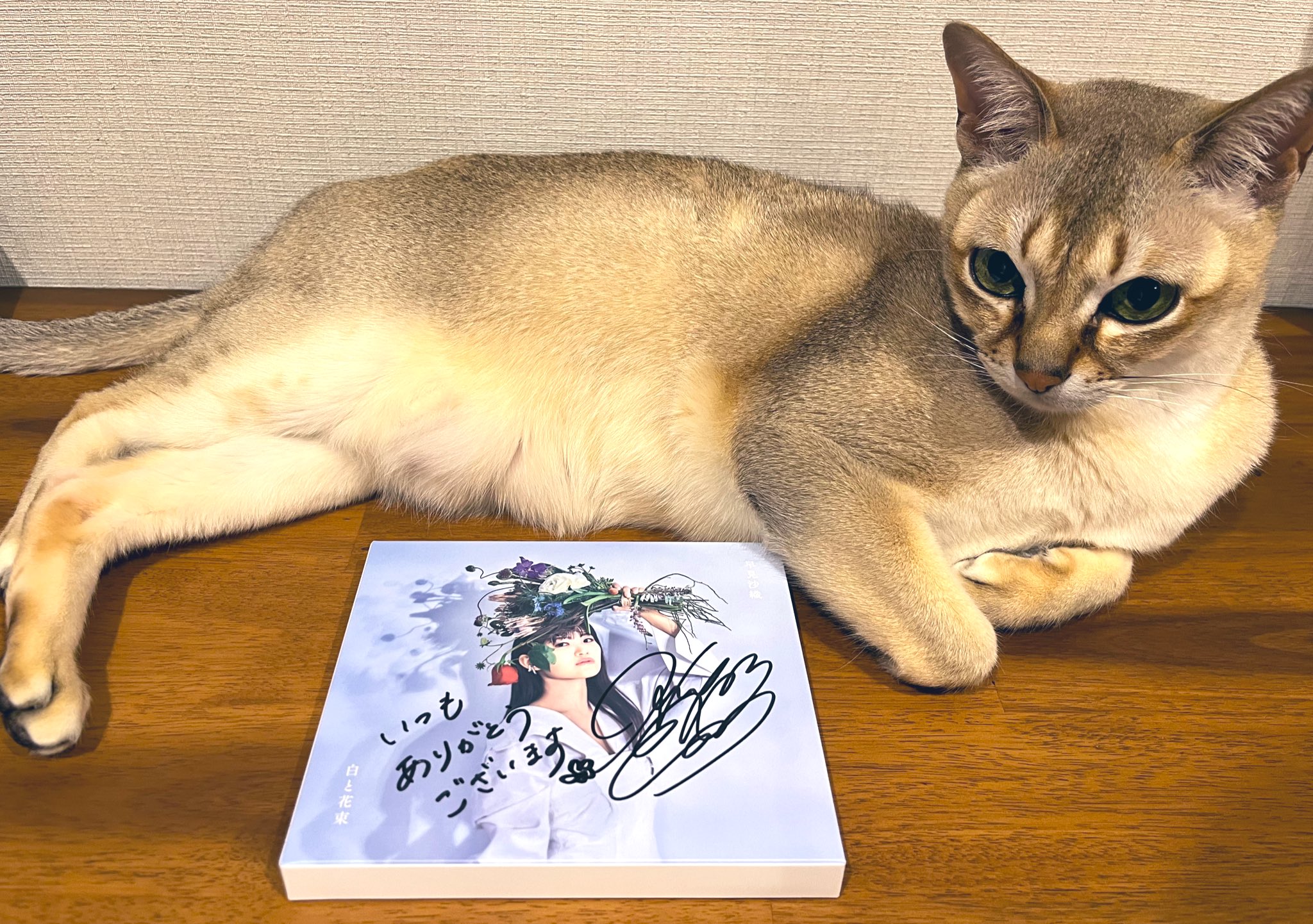 [閒聊] 種崎敦美對早見沙織公開告白