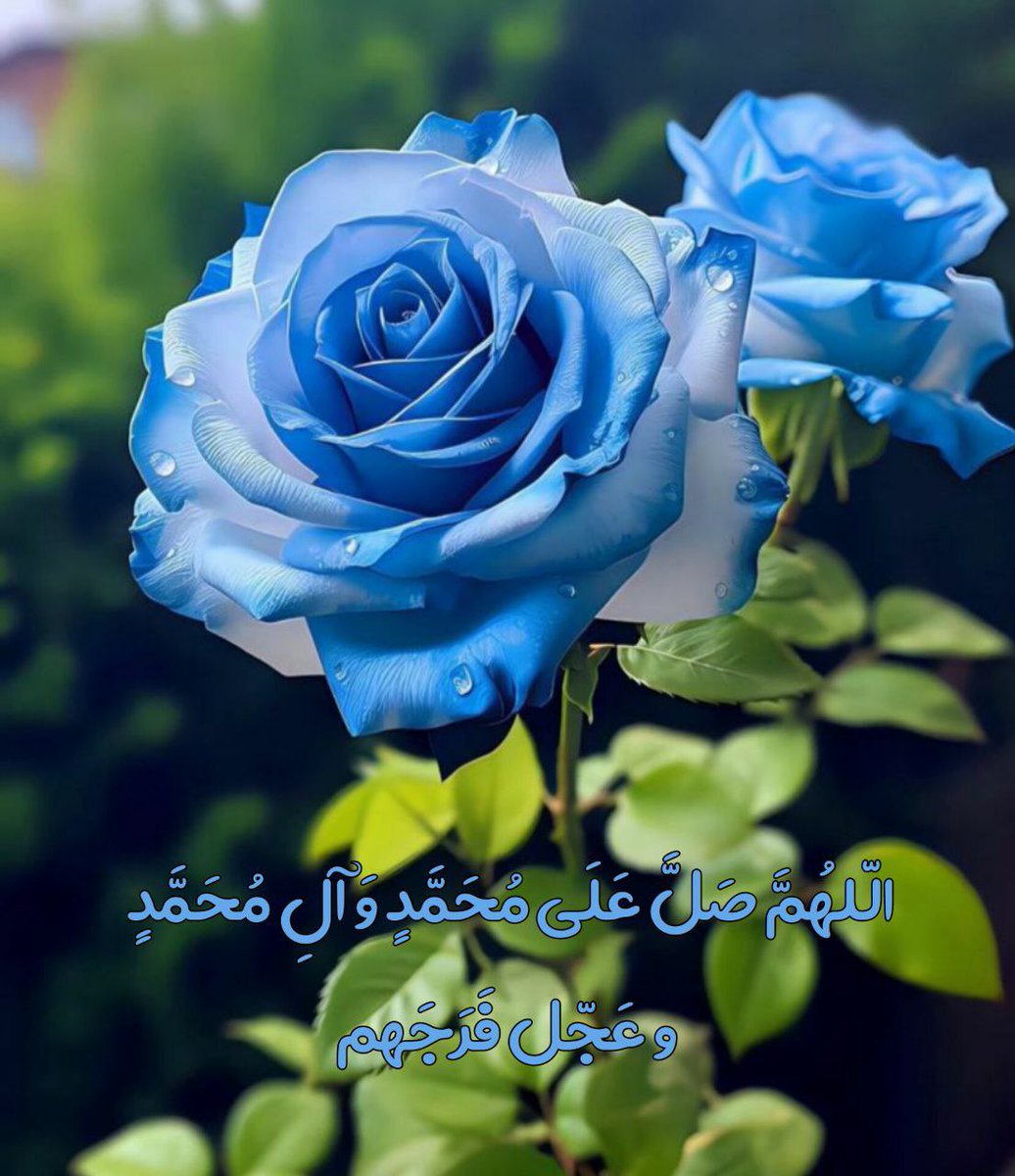 بیایید روزمونو با صلوات برای ظهور امام زمان (عج) شروع کنیم
#اللهم_عجل_لوليك_الفرج