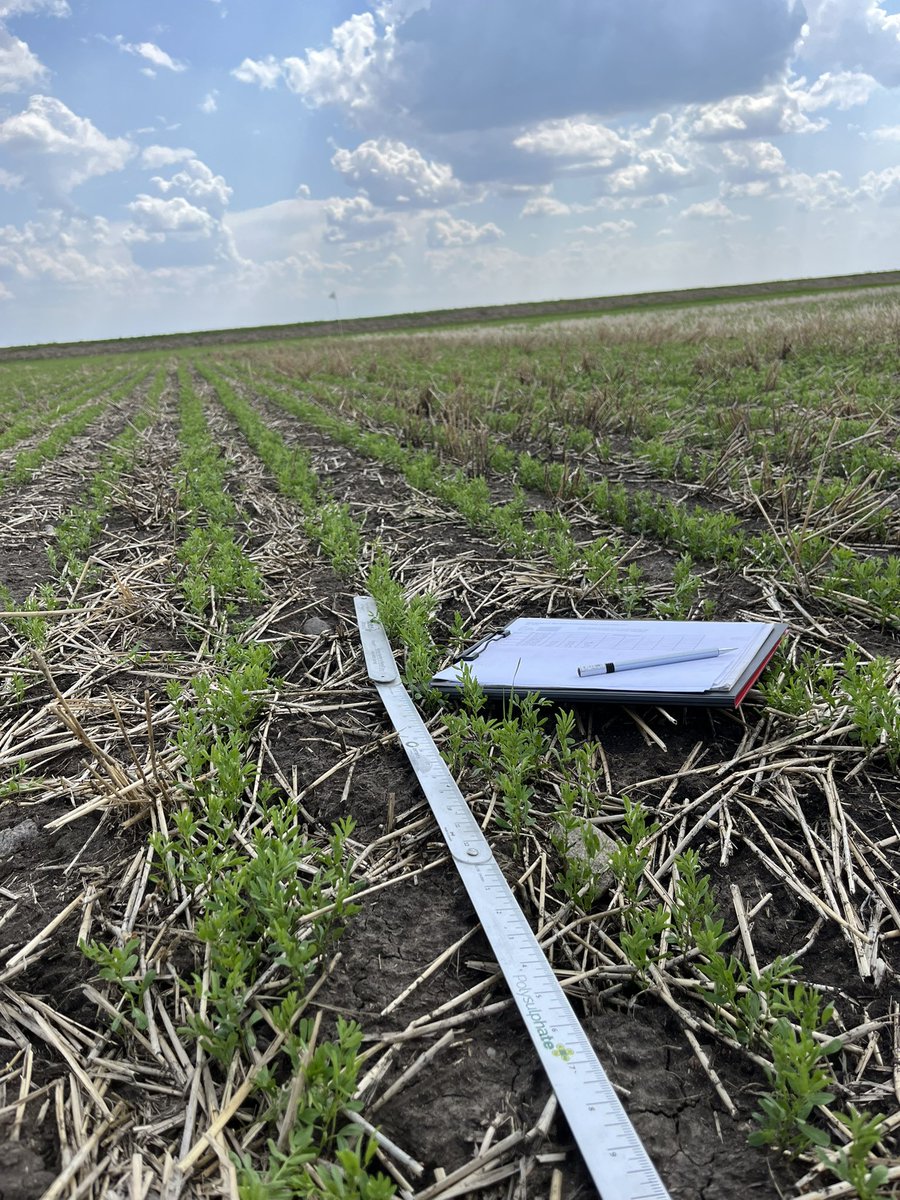 Karter Kattler tweet media