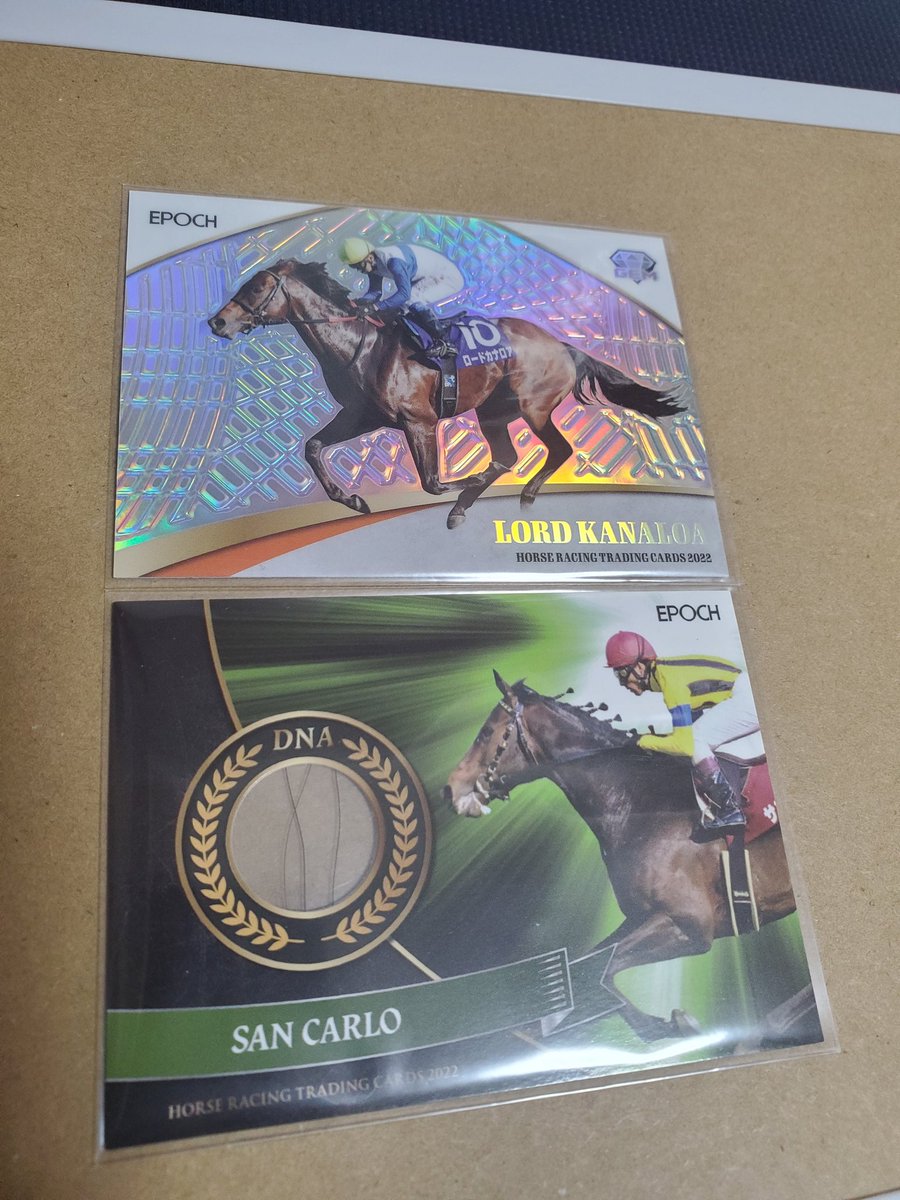 キングヘイロー ホースレーシングカード DNAカード