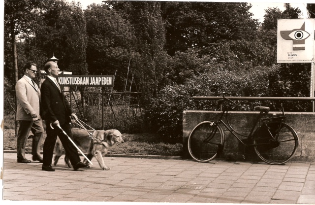 Je haalde de hond uit de kennel en liep de poort uit. De instructie begon gelijk als je de deur van de geleidehondenschool uitliep #historie #geleidehond #Watergraafsmeer @KNGFGeleidehond @VvWGM