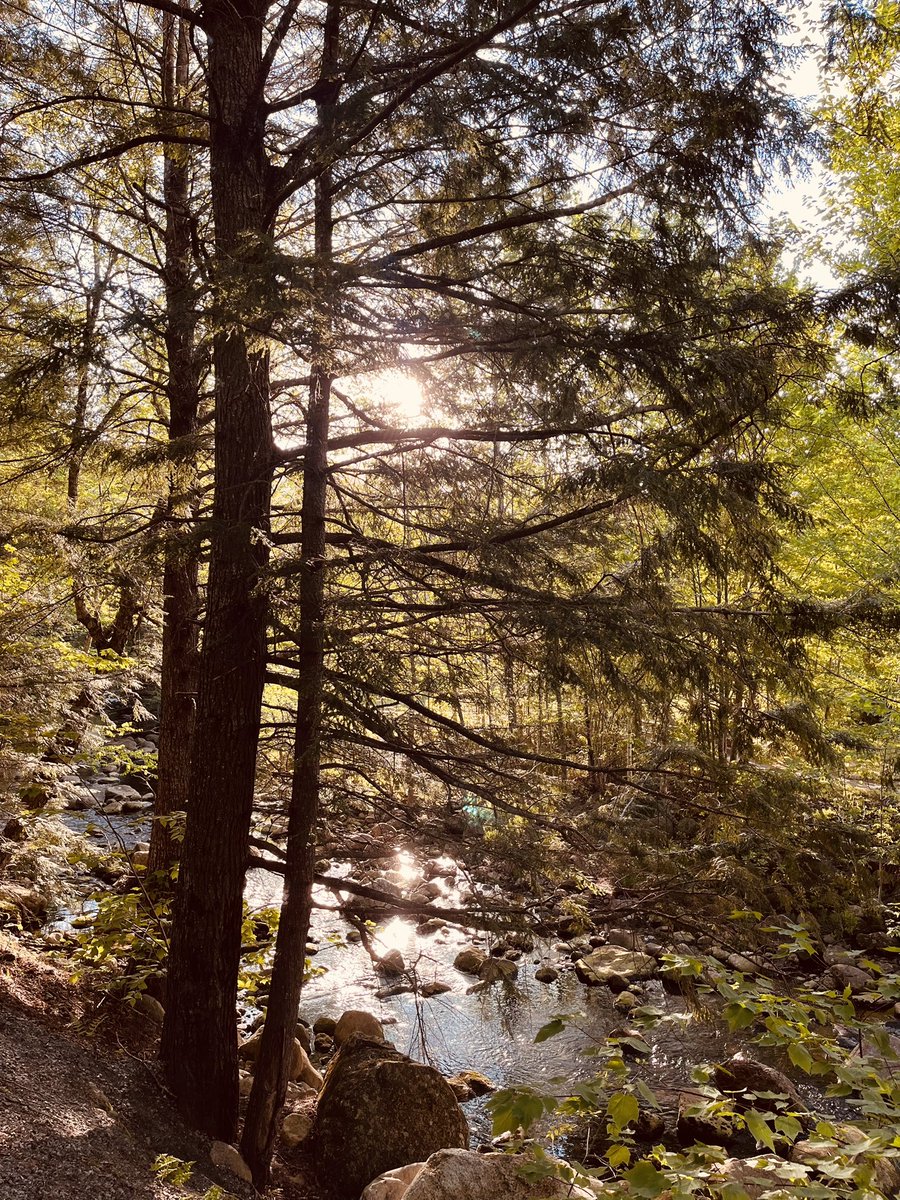 soultanofswing's tweet photo. Fantastic sights and sounds @GordonConf #assistedcirculation @waterville https://t.co/cBo1fYSAG6