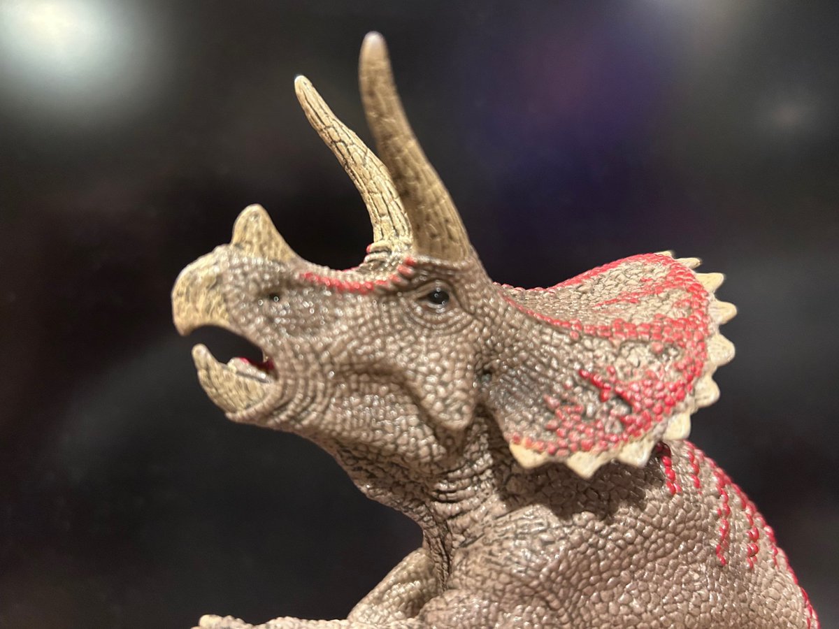 A rural 4-Her brings a triceratops to the county fair. As 15-year-old Steve trains the dinosaur to lead, pose, and take baths, he fights militant Creationists and gains new BIPOC friends from the city. He also has to clean out lots of poop. #YA #CON #F #JoyPit
