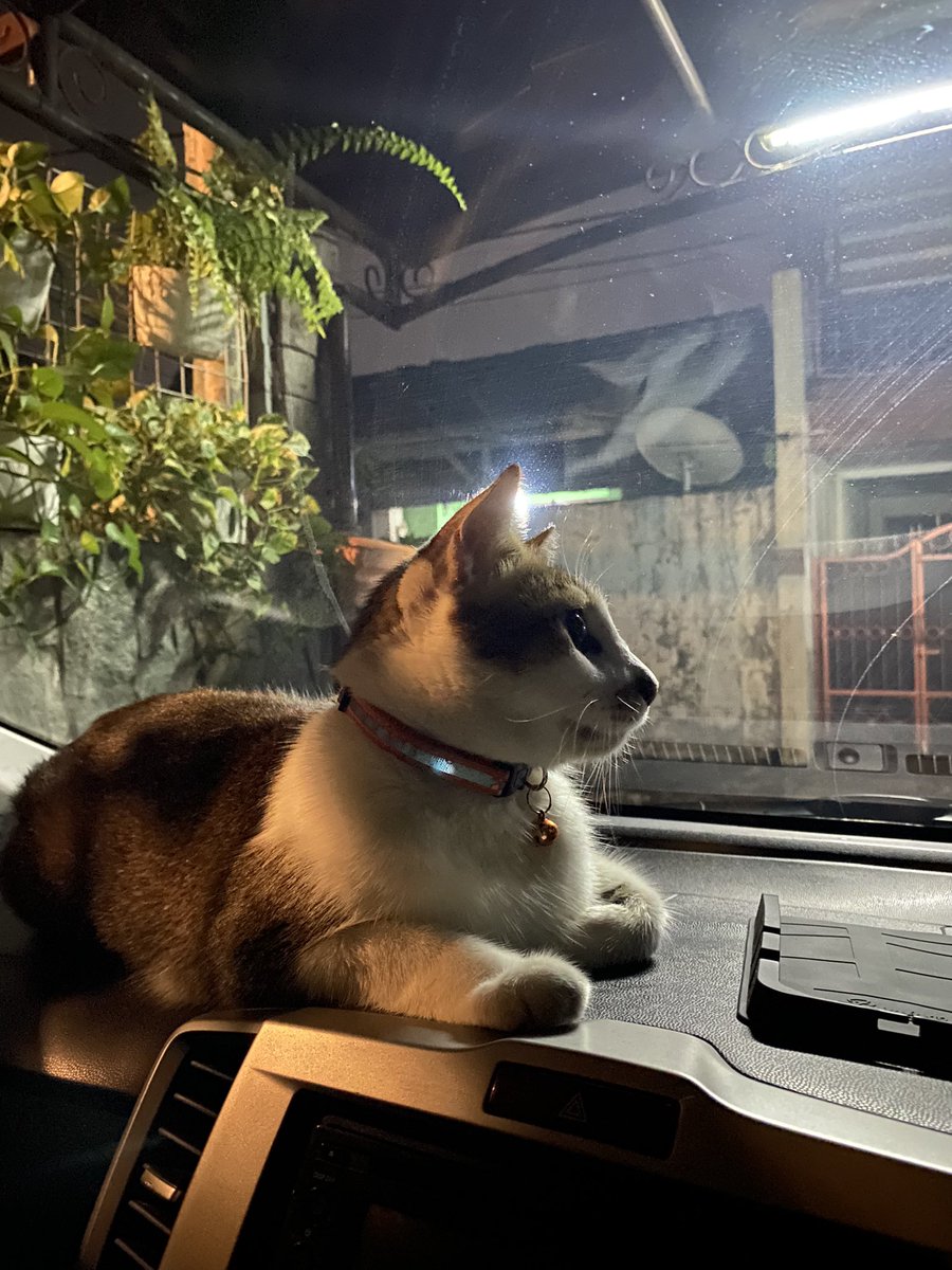 Sukanya naik ke mobil pas mamanya pulang kantor. Terus gak mau turun kayak gini 😅