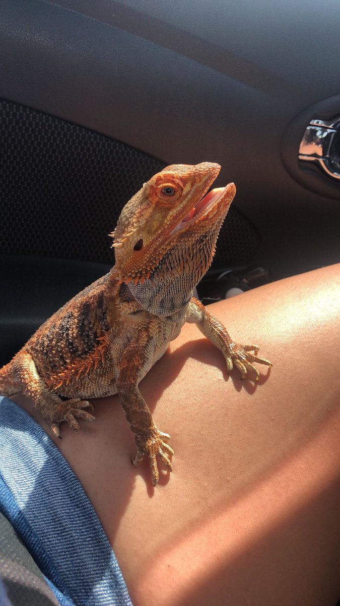 giselieee's tweet photo. missing Clyde a little extra tonight 😓 https://t.co/HH4vVAPaVV