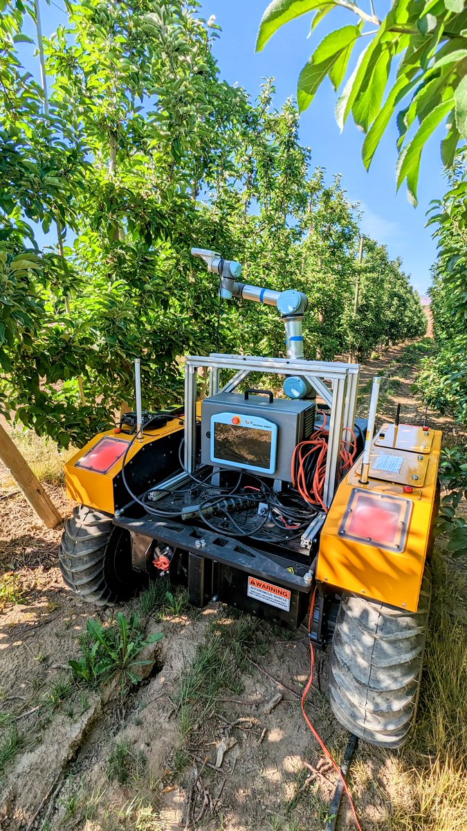 Our robot is active in the field during the early fruit growing season. <a href="/WazzuCpaas/">WSU CPAAS</a> <a href="/KarkeeManoj/">Manoj Karkee</a>  
#agriculture #automation #warthog