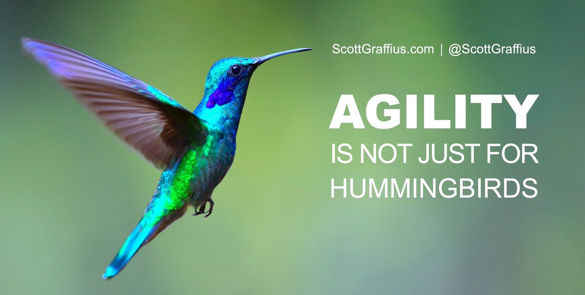 Agility is not just for hummingbirds 
#Agile #Scrum #Business #Agility #ExceptionalAgility #BusinessAgility #OrganizationalAgility #ProjectManagement #AgileProjectManagement #ScrumMaster #ProductOwner #AgileCoach #Hummingbirds #Development #DevOps #Celerity #Leadership #PMOT