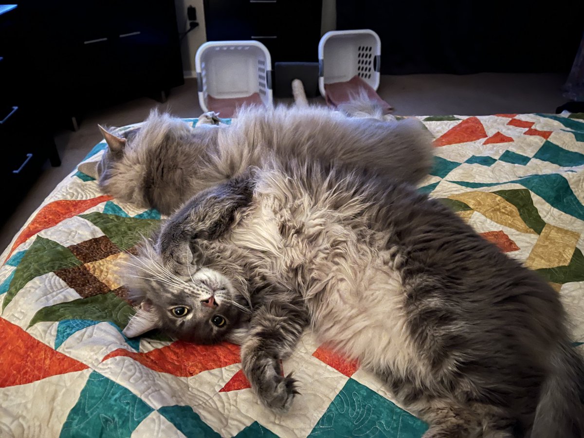 Liz Dorland=Chimera Cosmos in Second Life tweet media