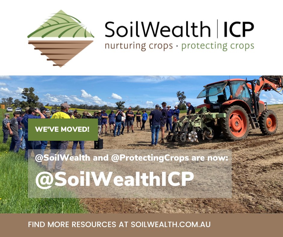 🚨We're consolidating our existing Twitter accounts (SoilWealth &amp; ProtectingCrops) into one profile: <a href="/SoilWealthICP/">Soil Wealth ICP</a>!
Keep following us to stay up-to-date on the latest R&amp;D info on plant health &amp; soil management for Australian #vegetable &amp; #melon growers. 
<a href="/Hort_Au/">Hort Innovation</a> <a href="/AUSVEG/">AUSVEG</a>