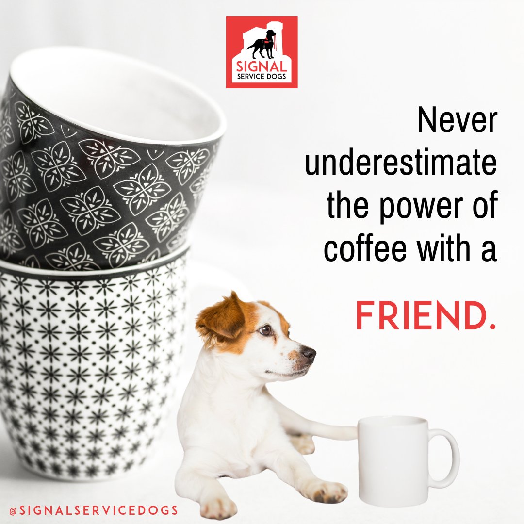 Sometimes having coffee with a friend is all the therapy you need.

#CoffeeWithAFriend
#ServiceDogsNL
#GoodDog
#DogTraining
#MentalHealthAwareness
#MentalHealthAdvocate
#MentalHealth
#MentalHealthWellness
#MentalHealthSupport
#MentalHealthMatters
#AnxietyManagement
#HealAnxiety