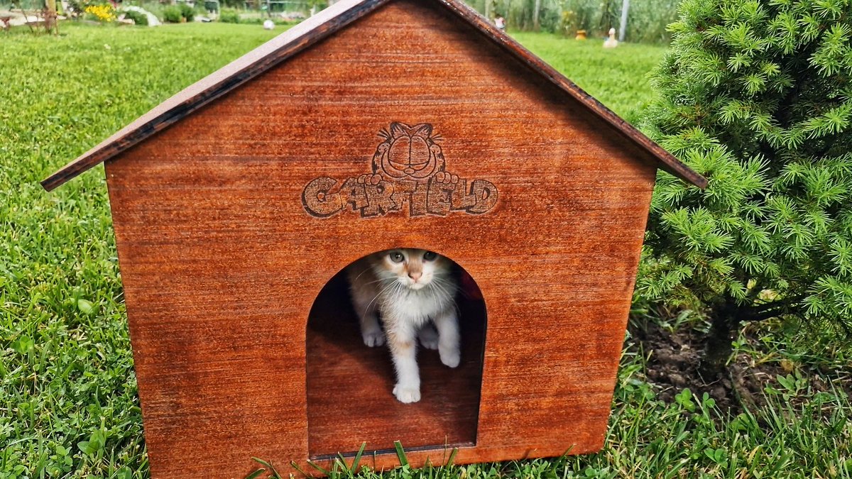 youtu.be/Zym9O0UfifE
How to make a Cat house very easily using Engraving Laser
#HowToMake #CatHouse #ErCanEverything #YouTube #DIY #Channel
