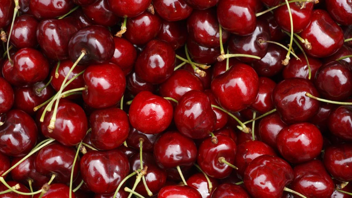 RisingKashmir's tweet image. ‘#Despite bad #weather, #bumper #cherry produce #expected’

Reports @SyedaRafiyah

@HortiKashmir

risingkashmir.com/despite-bad-we…