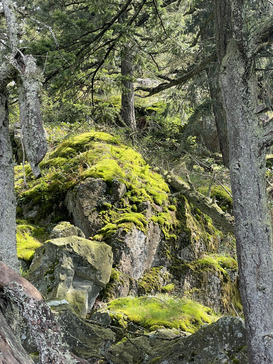 carson《oops inc.》 tweet media