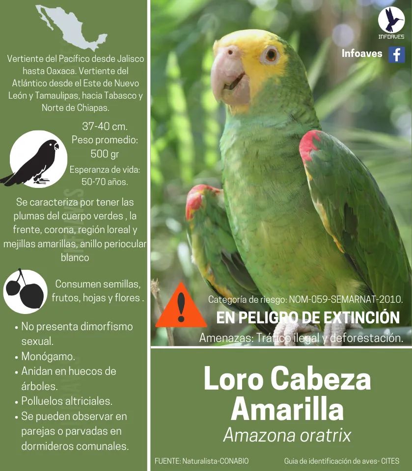 Vladimir Arriaga tweet media