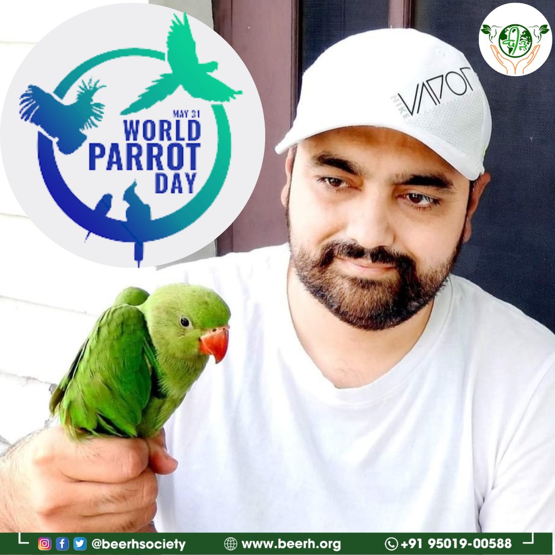 Today is #WorldParrotDay🦜
Beerh society is doing continuously efforts to save birds by providing them a mud made nest. We urge everyone to save birds & take care of them. 🦜
#BirdsSeenIn2023