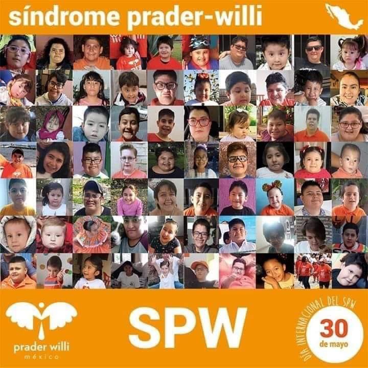 tuchismoscita's tweet photo. Solo más de 250 familias Prader Willi en la Fundación María José @praderwilli_fmj 
#SPWMX https://t.co/6SW0ad1wZ0