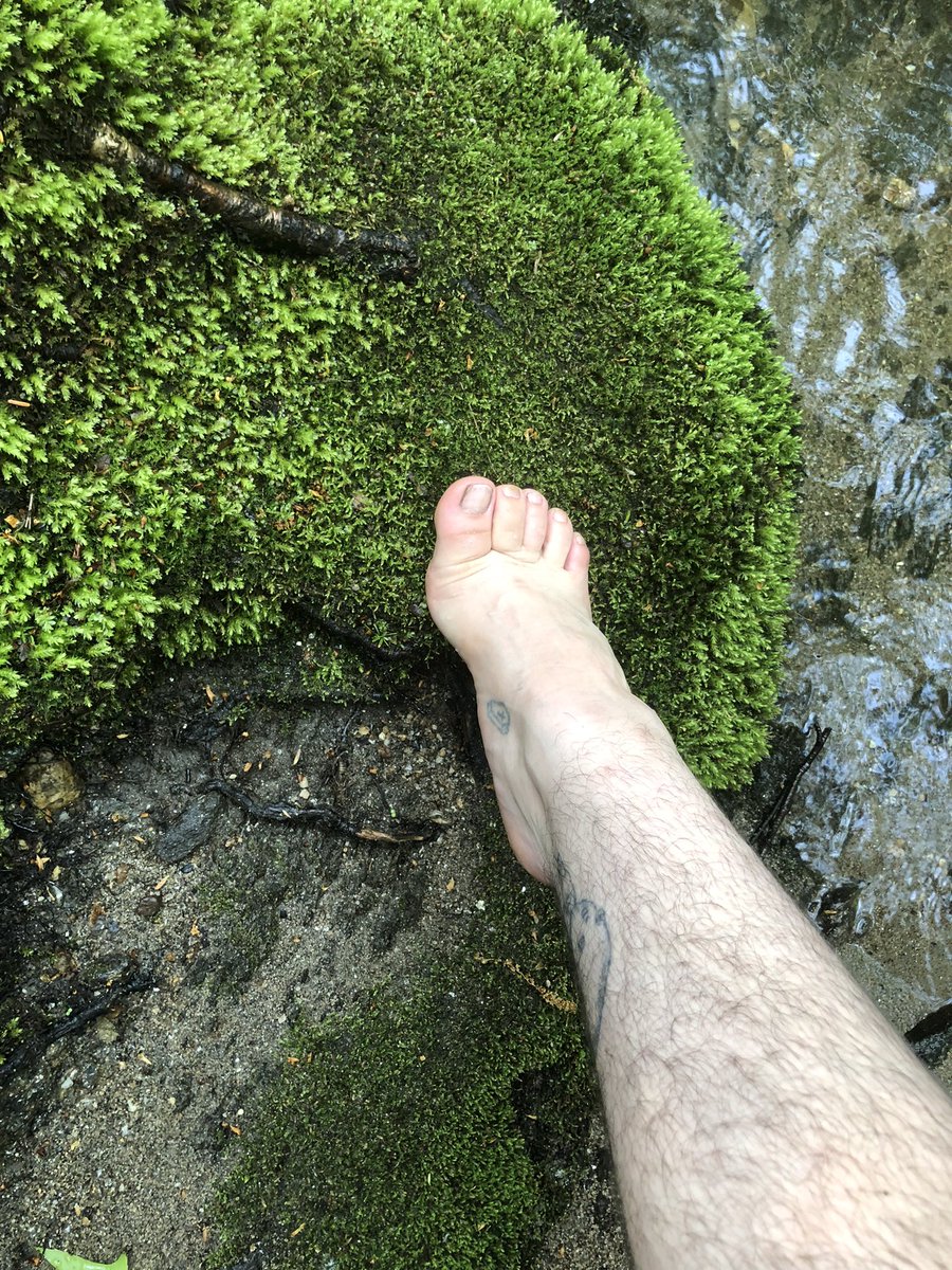 xd666vil's tweet photo. nature girl in a green green world #allnatural #footworshi̇p #findom #paypigneeded #walletdrain #brat #goddess #payme #dirtyfeet #toes #feetpic #feetcontent #hikingadventures #feetflex #cuck #beta #simp https://t.co/PsJK1at3F6