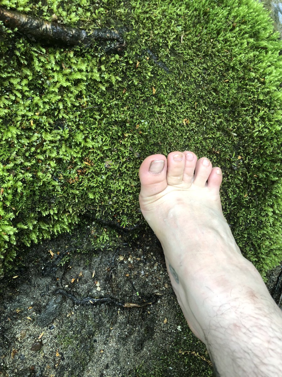 xd666vil's tweet photo. nature girl in a green green world #allnatural #footworshi̇p #findom #paypigneeded #walletdrain #brat #goddess #payme #dirtyfeet #toes #feetpic #feetcontent #hikingadventures #feetflex #cuck #beta #simp https://t.co/PsJK1at3F6