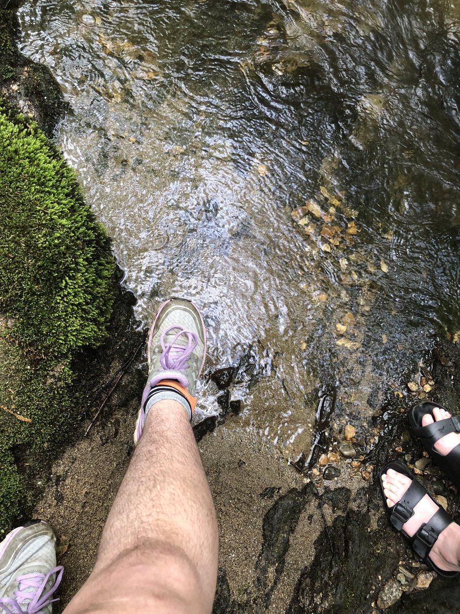 xd666vil's tweet photo. nature girl in a green green world #allnatural #footworshi̇p #findom #paypigneeded #walletdrain #brat #goddess #payme #dirtyfeet #toes #feetpic #feetcontent #hikingadventures #feetflex #cuck #beta #simp https://t.co/PsJK1at3F6