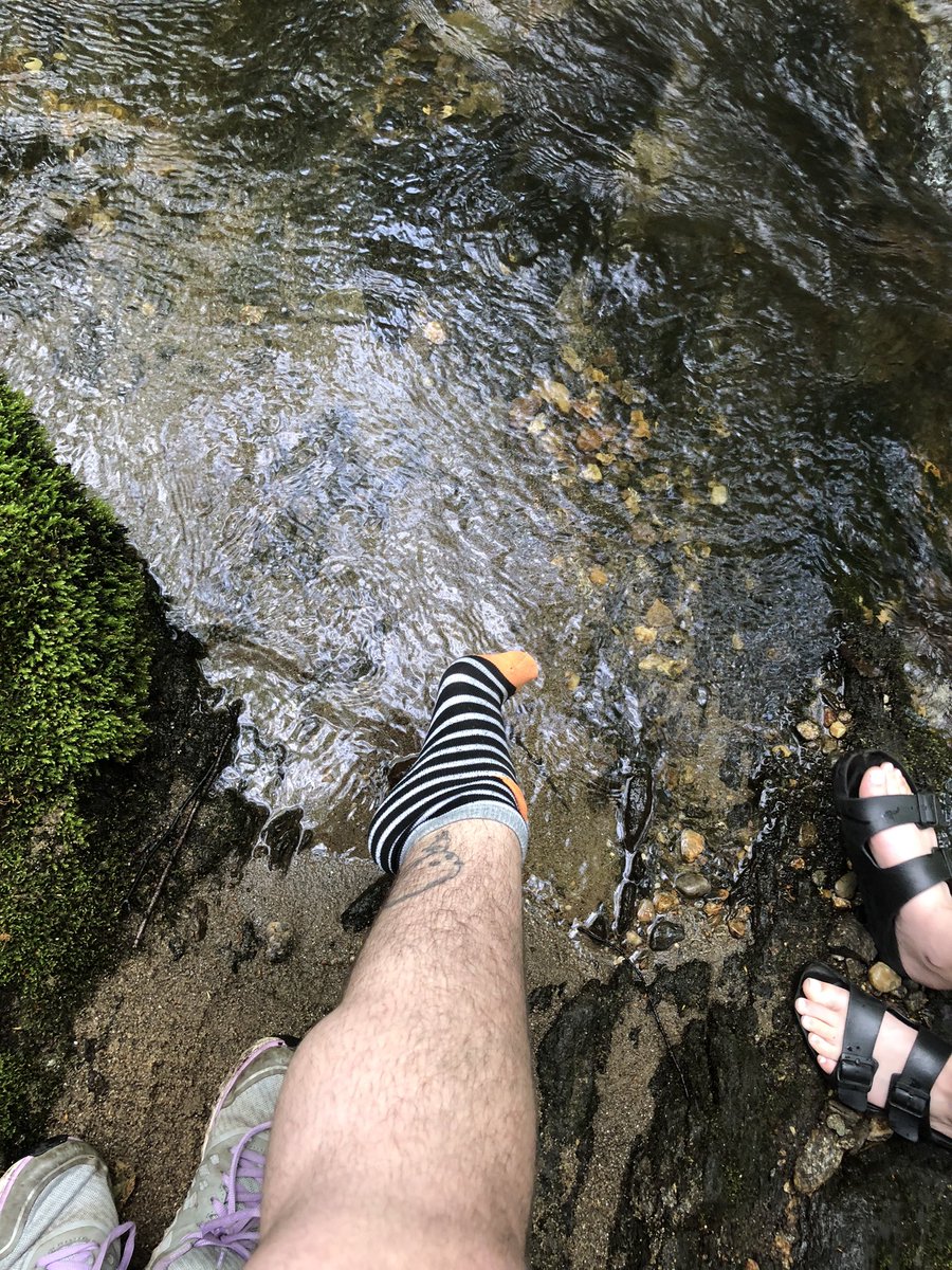 xd666vil's tweet photo. nature girl in a green green world #allnatural #footworshi̇p #findom #paypigneeded #walletdrain #brat #goddess #payme #dirtyfeet #toes #feetpic #feetcontent #hikingadventures #feetflex #cuck #beta #simp https://t.co/PsJK1at3F6