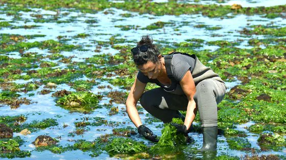 Rédaction de France Culture tweet media