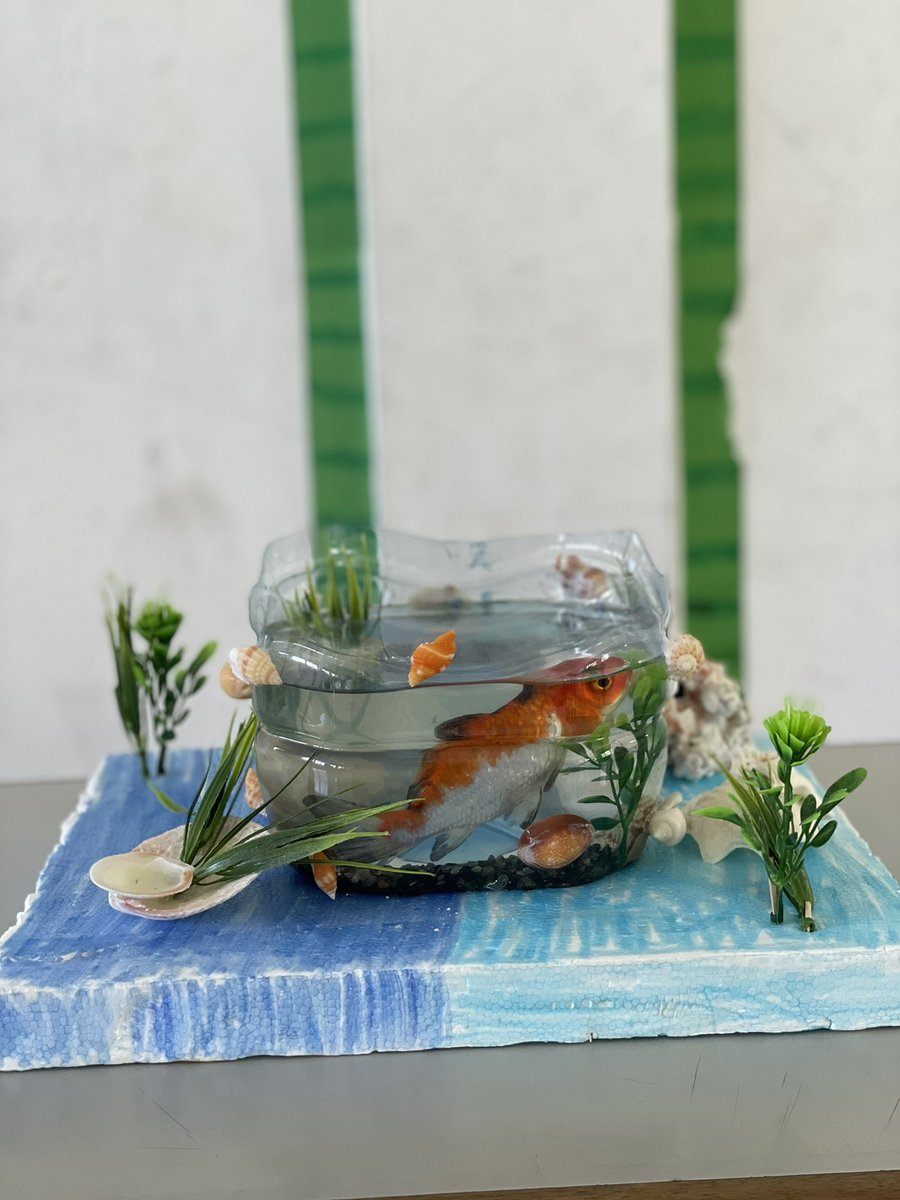 Theme: Living things and Environment
Topic: Animals and Plants Habitat
<a href="/MoEdumv/">Ministry of Education</a>