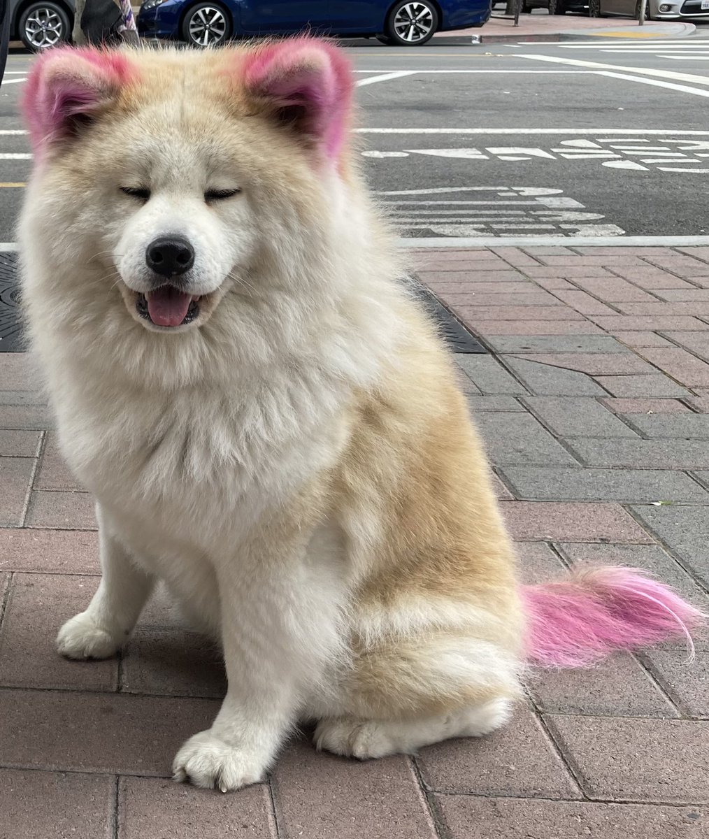 Erin Glover tweet media