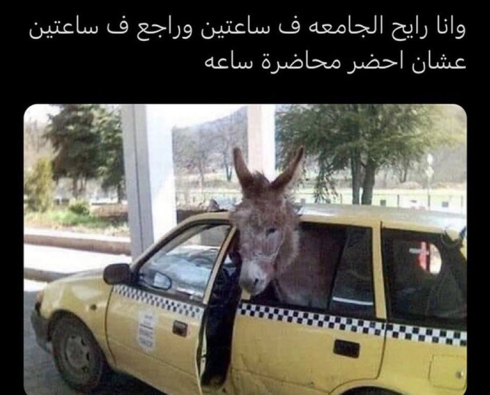 منصور (@i14nn) on Twitter photo 