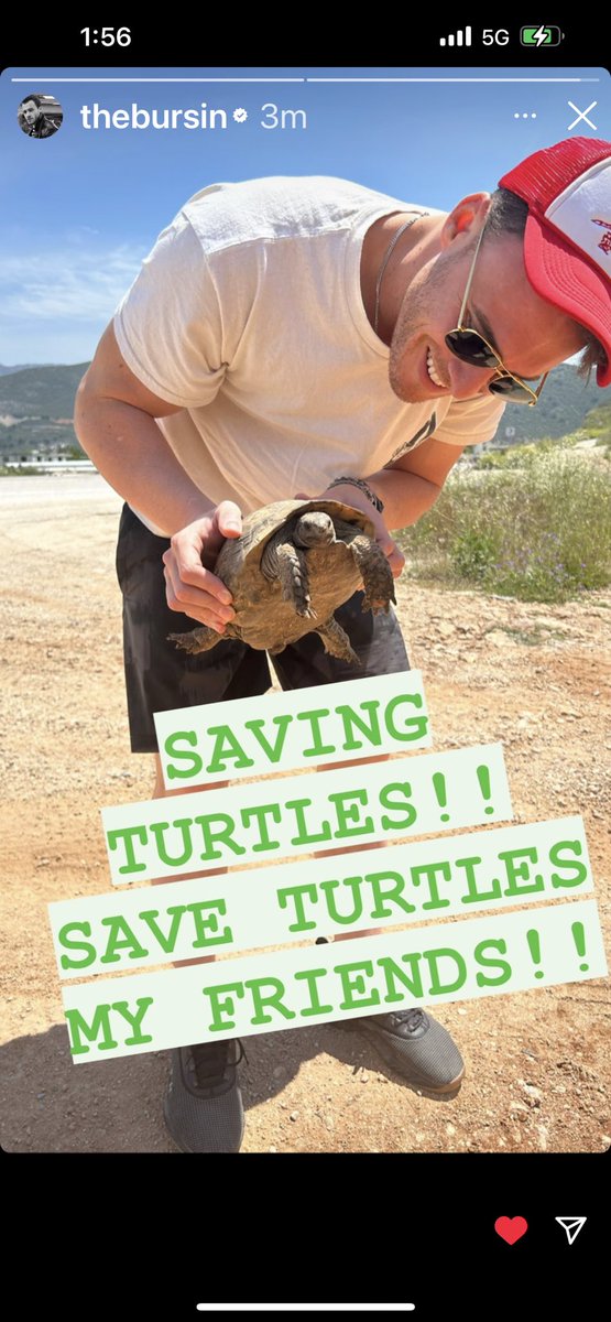 Darya84637167's tweet image. 🫶🫶🫶#KeremBürsin #saveturtles